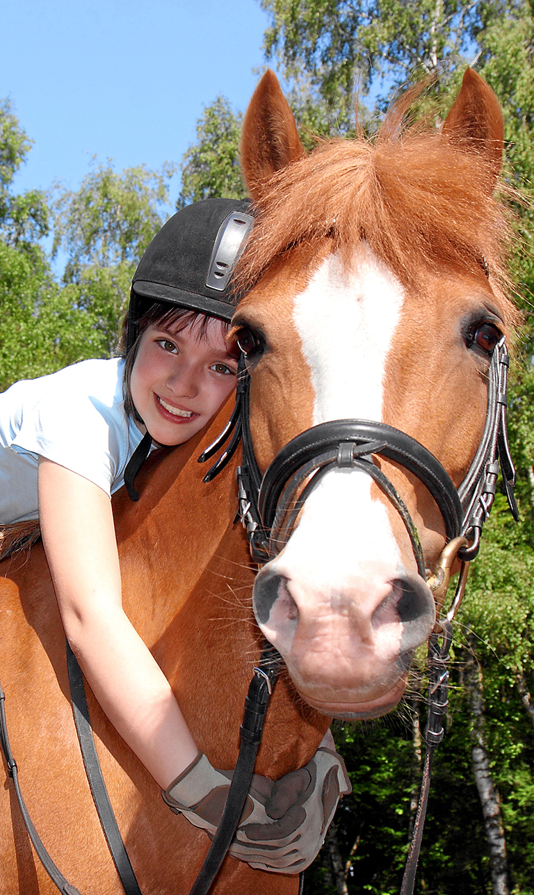 SW Horses